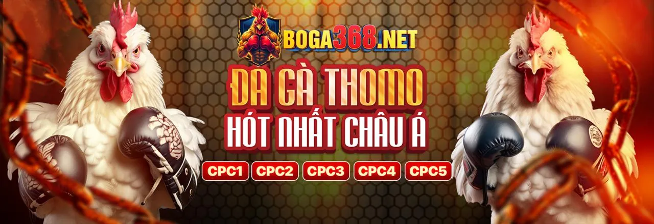 Hình ảnh chính blog 7t2202 với các trò chơi cá cược trực tuyến
